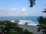 高知旅