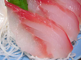 こぶ鯛
