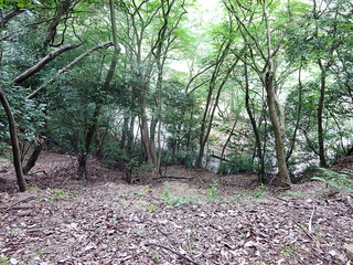 箕面の滝
