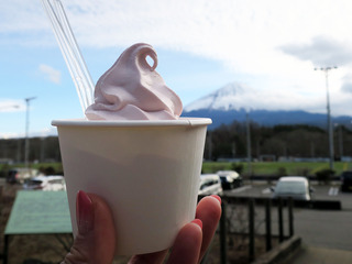 mtfuji57