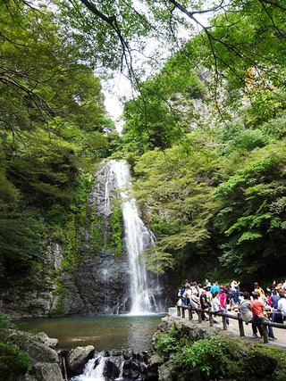 箕面の滝