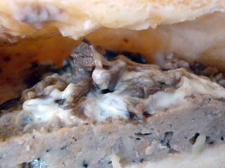 ������ӡ��ϥ�С����ɡ��ʥ�