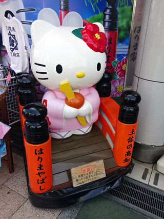 高知旅