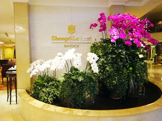 Shangri-La hotel