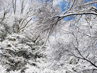 ohita_kanko11