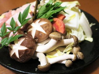 yoshikawa22