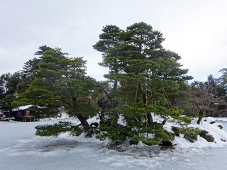 「兼六園」