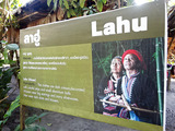 「Baan Tong Luang」