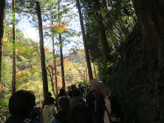 2018箕面の滝