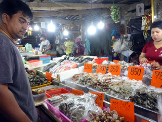 FIsh Market