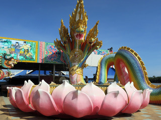 watsaman23