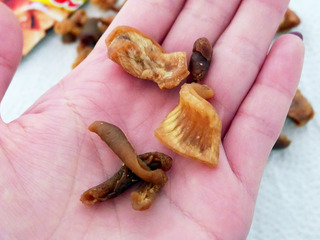 hormon4