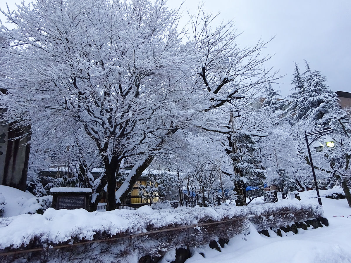 美しい雪の宇奈月温泉街ゆるり散策 関西女のプチ日記 Powered By ライブドアブログ 美しい雪の宇奈月温泉街ゆるり散策 関西女のプチ日記 Powered By ライブドアブログ