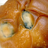 黒豆パン<きなこクリーム>