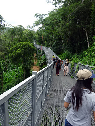 「QUEEN SIRIKIT BOTANIC GARDEN」