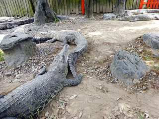 地獄めぐり