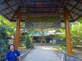 「MAESA ELEPHANT CAMP」