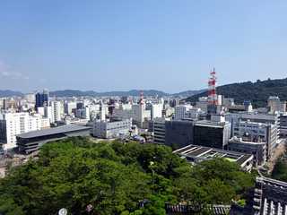 高知旅