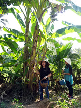 「Asia Scenic Thai Cooking School」