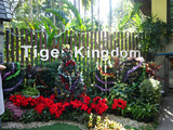「Tiger Kingdom」