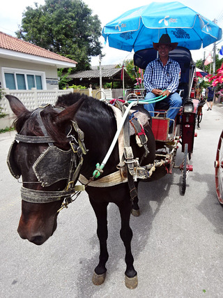 馬車散策