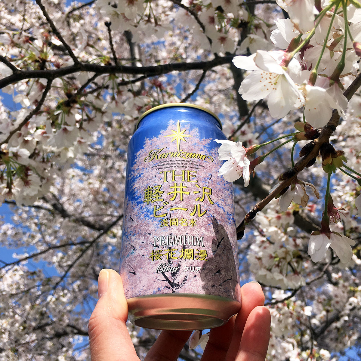 桜満開 週末のんびり花見酒 食べたん買うたん By 関西女のプチ日記 Powered By ライブドアブログ