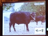 「うどん県。それだけじゃない香川県」