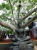 シーマ・マラカヤ寺院