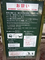 奈良散歩