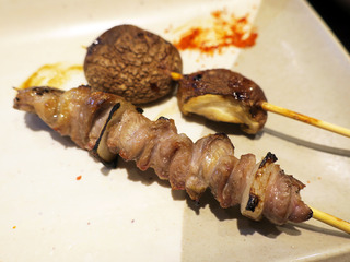 torikawad17