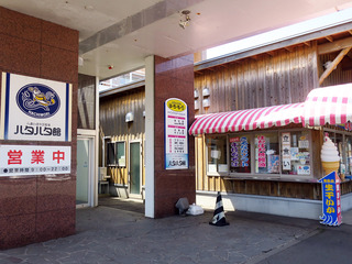 hatahata2