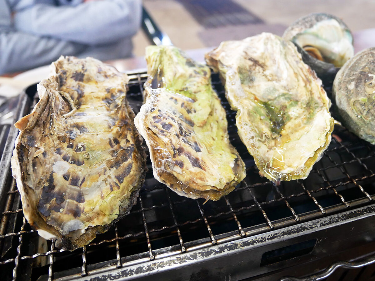 食べ放題も 倉庫で楽しむセルフ貝焼き 加太貝センター 和歌山加太 関西女のプチ日記 Powered By ライブドアブログ 食べ放題も 倉庫で楽しむセルフ貝焼き 加太貝センター 和歌山加太 関西女のプチ日記 Powered By ライブドアブログ