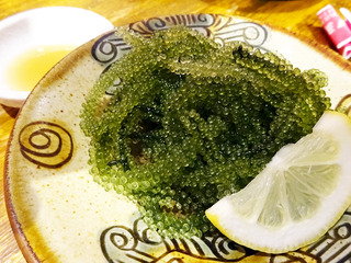 「島唄ライブ琉球」