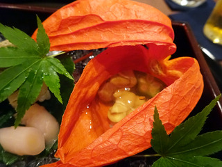 「日本料理 湯木 永楽町」