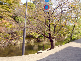 岡山旅行(倉敷美観地区)