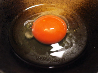 yoshikawa24