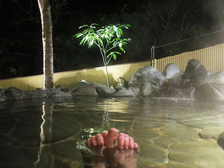 nanpuso1