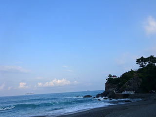 高知旅