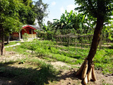 「Asia Scenic Thai Cooking School」