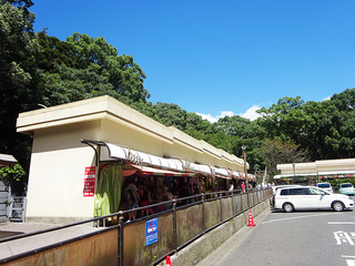 kagoshima17