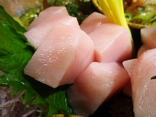 「晩酌食堂Hanaco+」