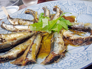 「かきぞの」いわし