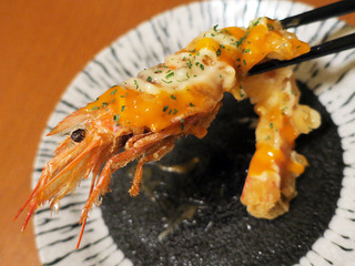 yoshikawa29