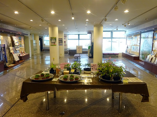 屋久島へ