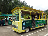 「QUEEN SIRIKIT BOTANIC GARDEN」