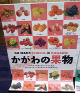 「うどん県。それだけじゃない香川県」