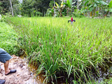「Natural Agriculture Centre」