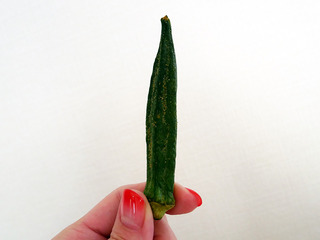 seijo201215