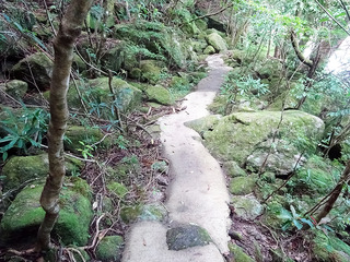屋久島散策