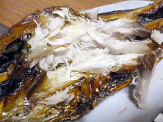 若狭名産 鯖